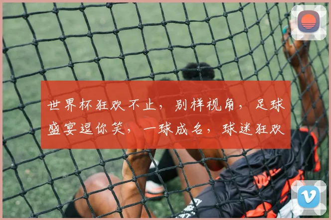 世界杯狂欢不止，别样视角，足球盛宴逗你笑，一球成名，球迷狂欢
