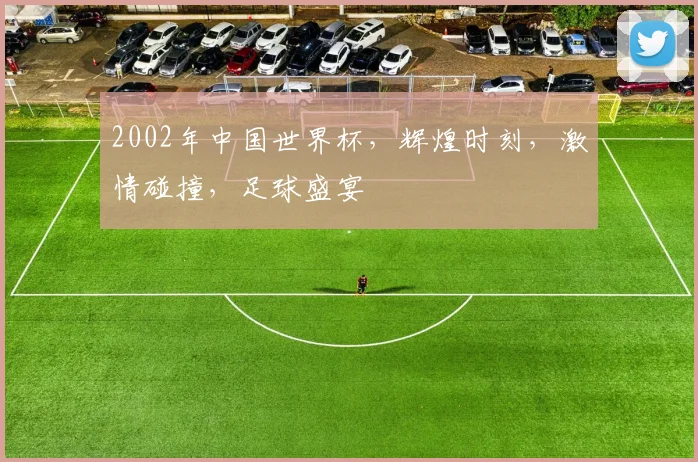 2002年中国世界杯，辉煌时刻，激情碰撞，足球盛宴