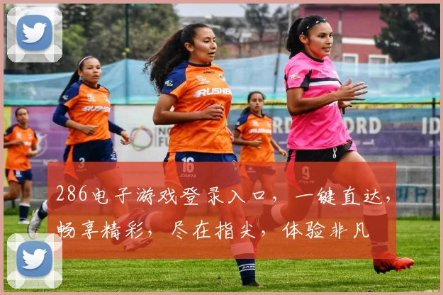 286电子游戏登录入口，一键直达，畅享精彩，尽在指尖，体验非凡
