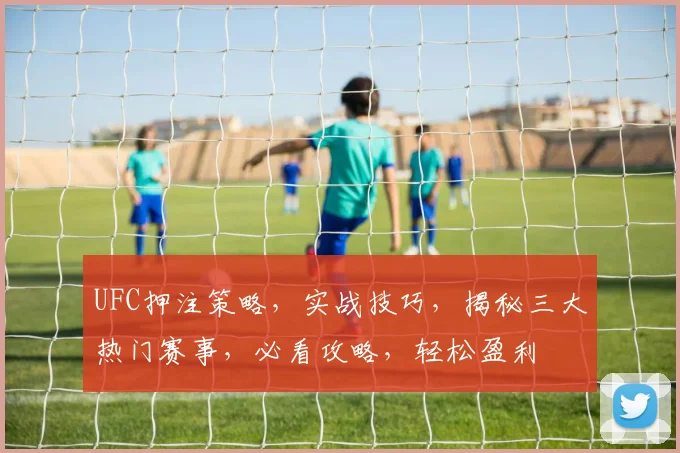 UFC押注策略，实战技巧，揭秘三大热门赛事，必看攻略，轻松盈利