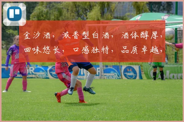 金沙酒，浓香型白酒，酒体醇厚，回味悠长，口感独特，品质卓越，传承千年。
