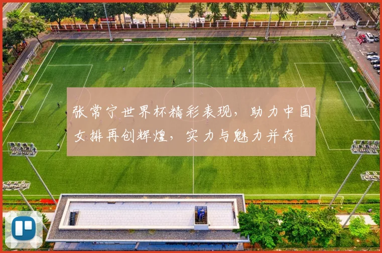 张常宁世界杯精彩表现，助力中国女排再创辉煌，实力与魅力并存